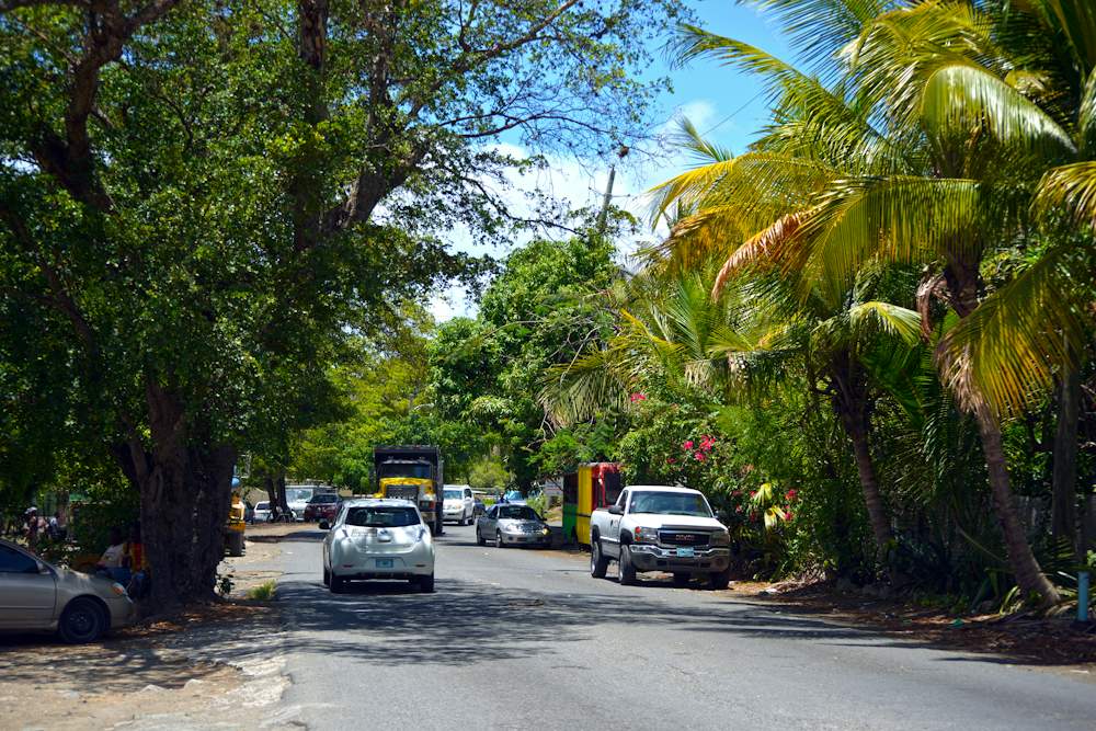 Smith Bay Road running under trees on the east end of St. Thomas