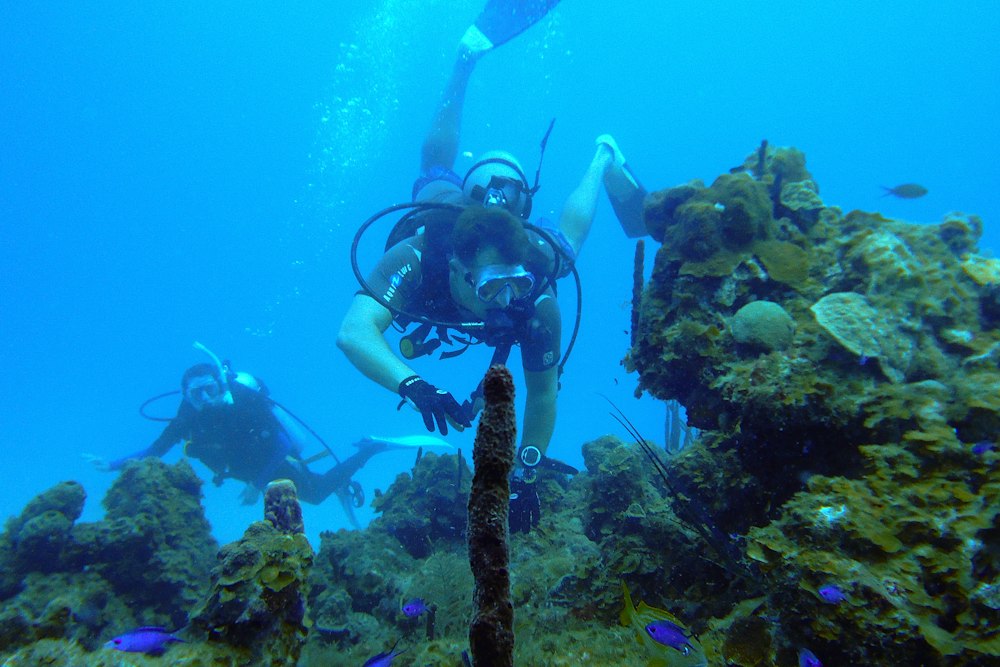 A diver at a coral ledge off St. Thomas