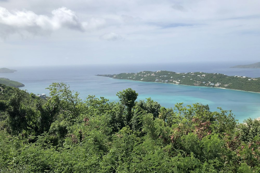 Magens Bay seen through the trees from the road over the hill